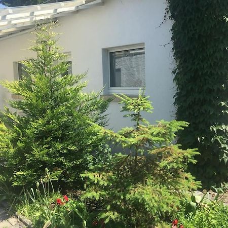 Kleines Haeuschen Am Garten In ダルムシュタット エクステリア 写真